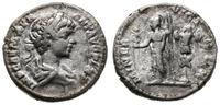 denar 211-217, Laodicea ad Mare, Aw: Popiersie c