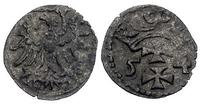 denar 1554, Gdańsk, Kurp. 925 R3