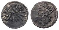 denar 1555, Gdańsk, Kurp. 926 R3