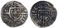 Zakon Krzyżacki, szeląg, 1426-1436