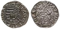 denar bez daty  (1500-1502), Aw: Tarcza herbowa,