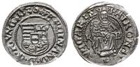 denar 1536 KB, Kremnica, dużo blasku menniczego,