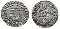 denar 1517 KG, bardzo ładnie zachowana moneta
