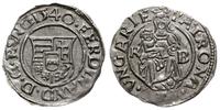 denar 1540 KB, Kremnica, ładny połysk menniczy, 