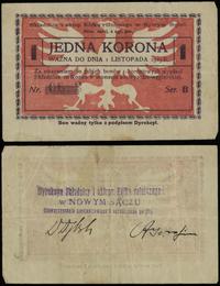 1 korona ważne do 1.11.1919, seria B 0633, połam