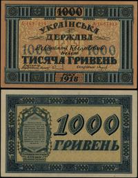 1.000 hrywien 1918, seria А 1687418, zagniecenia