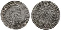 Prusy Książęce 1525-1657, grosz, 1531