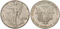 1 dolar 1988, srebro 31,38 g