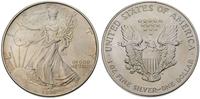 1 dolar 1993, srebro 31,18 g