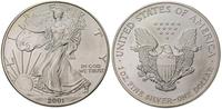 1 dolar 2001, srebro 31,28 g