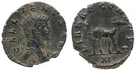 antoninian 267-268, Rzym, Aw: Popiersie cesarza 