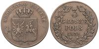 3 grosze 1831, Warszawa