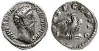 denar pośmiertny ok. 180, Rzym, Aw: Głowa cesarz