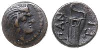 Grecja i posthellenistyczne, brąz, ok. 314-310 pne