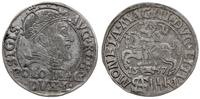 grosz na stopę polską 1547, Wilno, końcówki napi