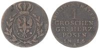 1 grosz 1816/A, Berlin