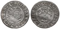 grosz 1539, Gdańsk, końcówka napisu PRVS, lekko 