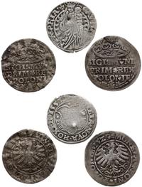 Polska, lot 3 monet, 1529, 1553