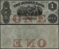 1 dolar 18.. (ok. 1850), niewypełniony blankiet,