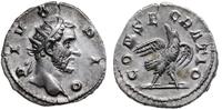 Cesarstwo Rzymskie, antoninan pośmiertny, 250-251
