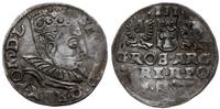 trojak 1599, Wschowa, kryza wachlarzowata, koron