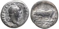 denar 77-78, Rzym, Aw: Głowa Tytusa w prawo, T C