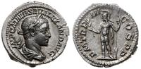 denar 224, Rzym, Aw: głowa cesarza w prawo, IMP 