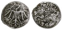 denar 1548, Wilno, bardzo rzadki, Cesnulis-Ivana