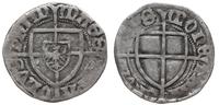 szeląg 1426-1436, Gdańsk, Tarcza Ziem Pruskich n