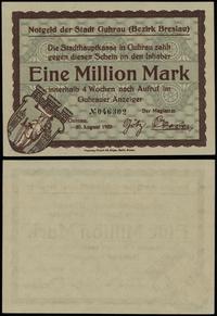 1 milion marek 20.08.1923, numeracja 046302, pię