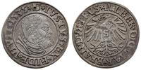 grosz  1535, Królewiec, ładnie zachowana moneta,