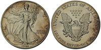 1 dolar 1989, srebro 31.18 g