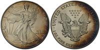 1 dolar 1992, srebro 31.32 g