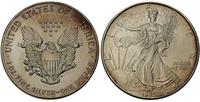1 dolar 1993, srebro 31.24 g