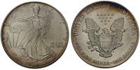 1 dolar 1995, srebro 31.5 g
