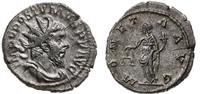 antoninian 263-265, Trewir, Aw: Głowa cesarza w 