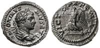 denar 201-206, Rzym, Aw: Popiersie w prawo, ANTO