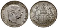 1 korona 1915, Wiedeń, piękna, Herinek 805