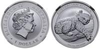 1 dolar 2012, Perth, Koala, srebro próby 999 31.