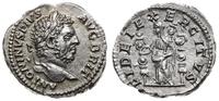 denar 210-213, Rzym, Aw: głowa cesarza w prawo, 