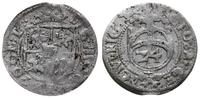 grosz 1616, Ryga, rzadka moneta, Górecki R.16.1.