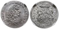 szóstak 1682 HS, Królewiec, piękna moneta w opak