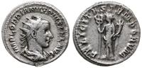 antoninian 243-244, Rzym,  Aw: Popiersie cesarza
