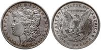 Stany Zjednoczone Ameryki (USA), 1 dolar, 1879