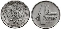 1 złoty  1958, Warszawa, PRÓBA, NIKIEL - gałązka