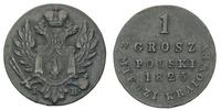 grosz polski z miedzi krajowej 1825, Warszawa