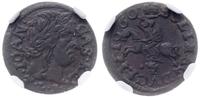 szeląg litewski 1660 TLB, Ujazdów, moneta w pude