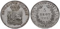 Polska, 5 złotych, 1831
