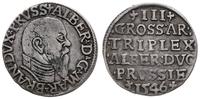 Prusy Książęce 1525-1657, trojak, 1546