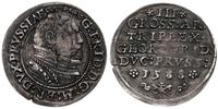 Prusy Książęce 1525-1657, trojak, 1588